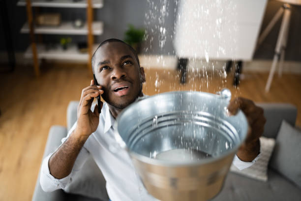 Best Professional water damage repair  in Ashland City, TN