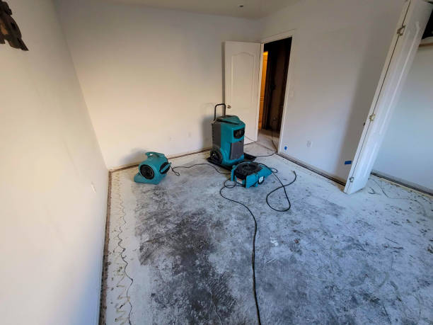Best Water damage restoration near me  in Ashland City, TN