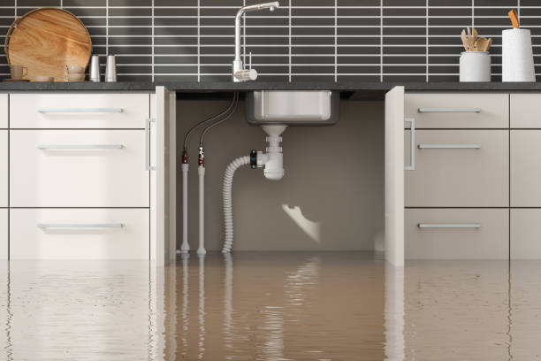 Best Basement water damage restoration  in Ashland City, TN